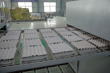 Fast Speed Egg Tray Production Line , Paper Egg Crate Making Machine